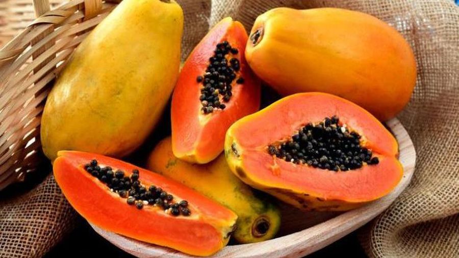 10 Makanan Ini Dilarang Dikonsumsi Bersama Pepaya, Bahaya!